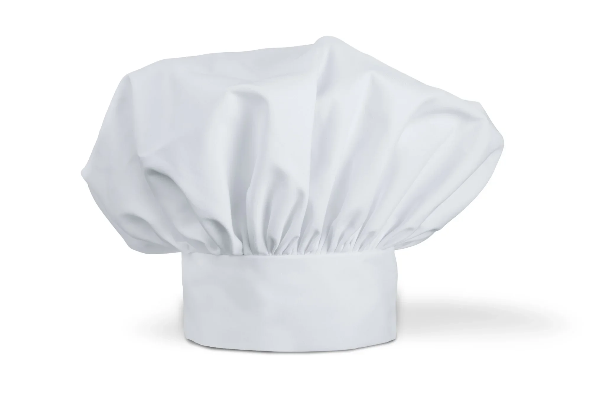 Expert Chefs